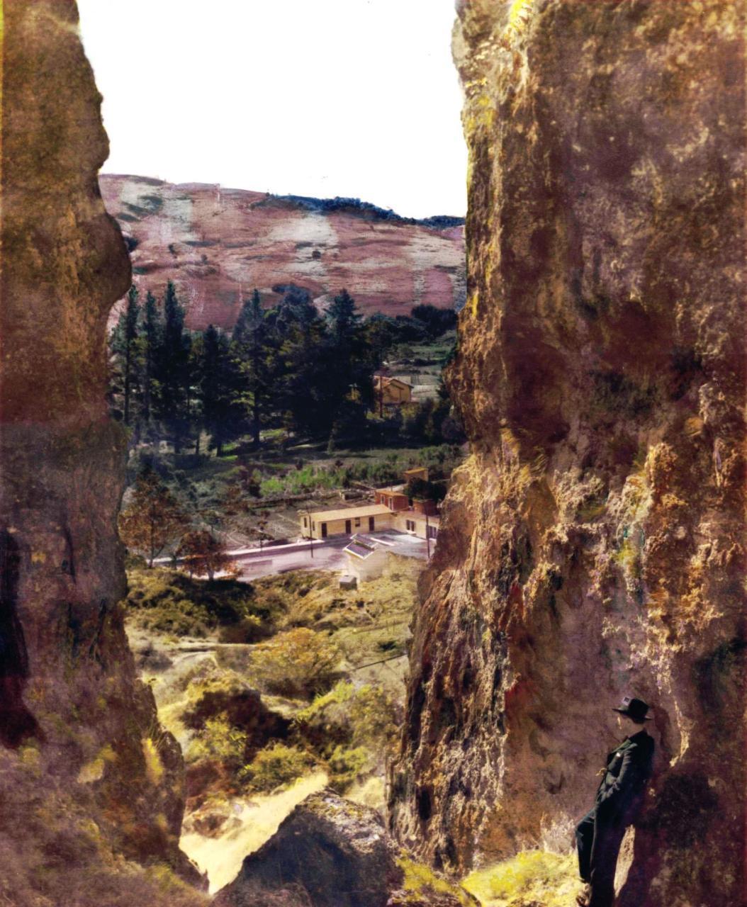 Te Puia Hot Springs Hotel Eksteriør billede